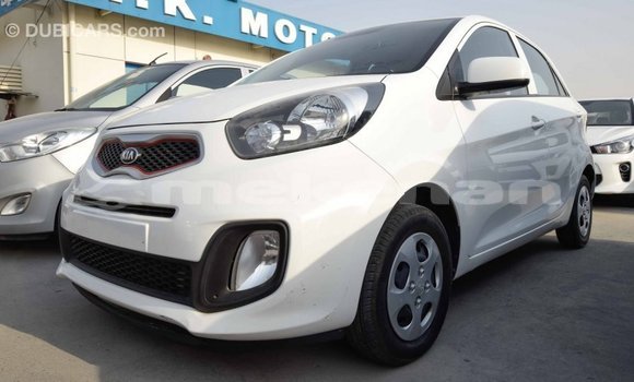 Buy Import Kia Picanto White Car in Import - Dubai in Aragatsotn Buy Import Kia Picanto White Car in Import - Dubai in Aragatsotn