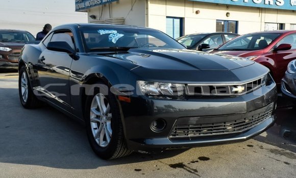 Buy Import Chevrolet Camaro Other Car in Import - Dubai in Aragatsotn
