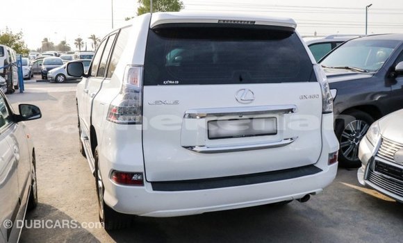 Buy Import Lexus GX White Car in Import - Dubai in Aragatsotn Buy Import Lexus GX White Car in Import - Dubai in Aragatsotn