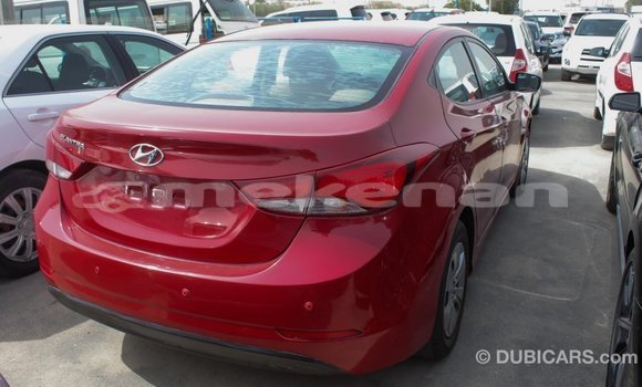 Buy Import Hyundai Elantra Red Car in Import - Dubai in Aragatsotn Buy Import Hyundai Elantra Red Car in Import - Dubai in Aragatsotn