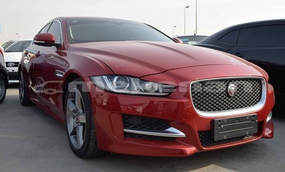 Buy Import Jaguar XE Red Car in Import - Dubai in Aragatsotn