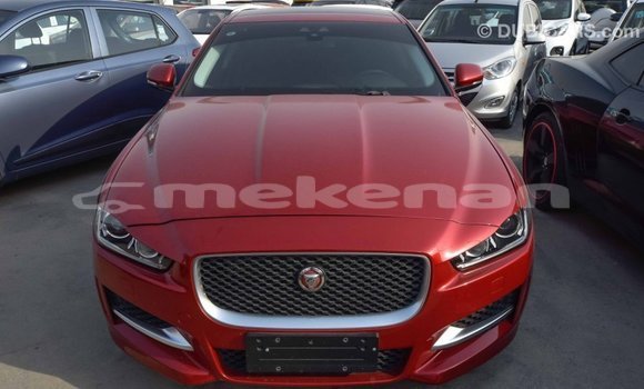 Buy Import Jaguar XE Red Car in Import - Dubai in Aragatsotn Buy Import Jaguar XE Red Car in Import - Dubai in Aragatsotn