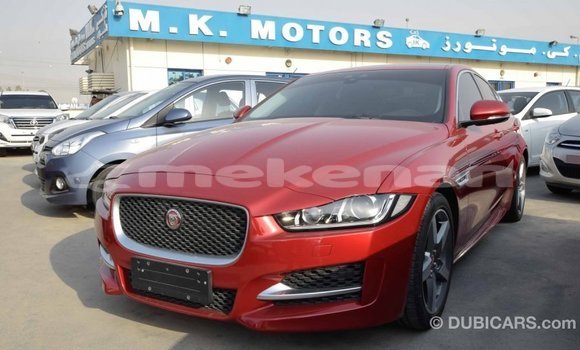 Buy Import Jaguar XE Red Car in Import - Dubai in Aragatsotn Buy Import Jaguar XE Red Car in Import - Dubai in Aragatsotn