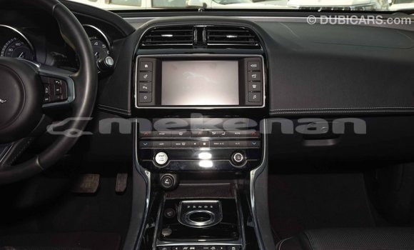 Buy Import Jaguar XE Red Car in Import - Dubai in Aragatsotn Buy Import Jaguar XE Red Car in Import - Dubai in Aragatsotn