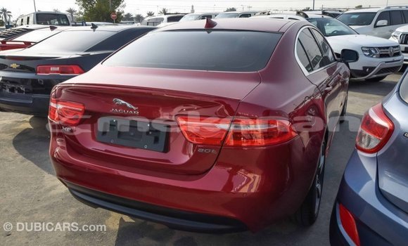 Buy Import Jaguar XE Red Car in Import - Dubai in Aragatsotn Buy Import Jaguar XE Red Car in Import - Dubai in Aragatsotn
