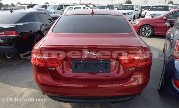 Buy Import Jaguar XE Red Car in Import - Dubai in Aragatsotn Buy Import Jaguar XE Red Car in Import - Dubai in Aragatsotn