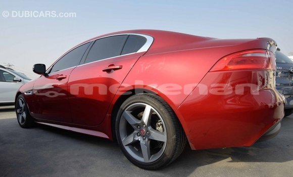 Buy Import Jaguar XE Red Car in Import - Dubai in Aragatsotn Buy Import Jaguar XE Red Car in Import - Dubai in Aragatsotn