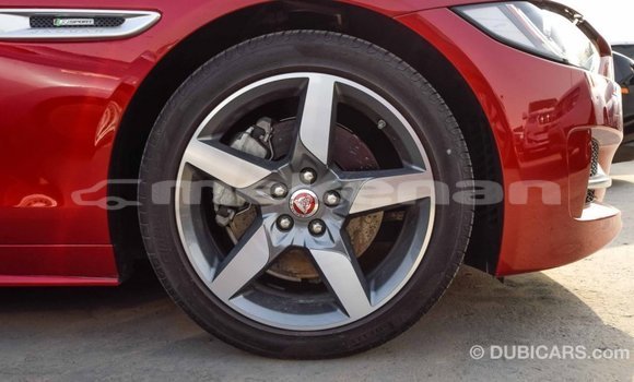 Buy Import Jaguar XE Red Car in Import - Dubai in Aragatsotn Buy Import Jaguar XE Red Car in Import - Dubai in Aragatsotn