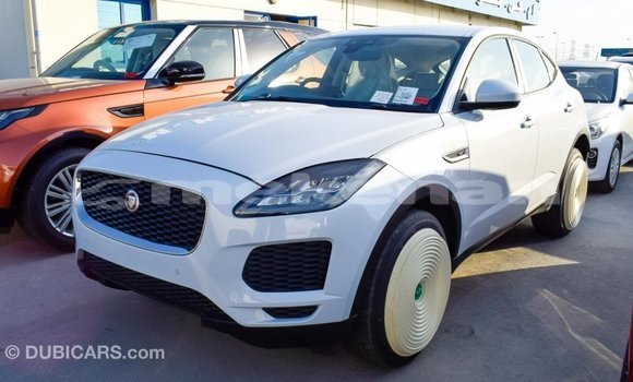 Buy Import Jaguar E-Pace White Car in Import - Dubai in Aragatsotn Buy Import Jaguar E-Pace White Car in Import - Dubai in Aragatsotn