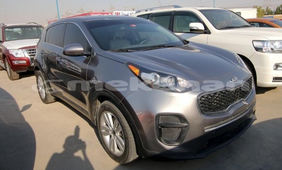 Buy Import Kia Sportage Other Car in Import - Dubai in Aragatsotn Buy Import Kia Sportage Other Car in Import - Dubai in Aragatsotn