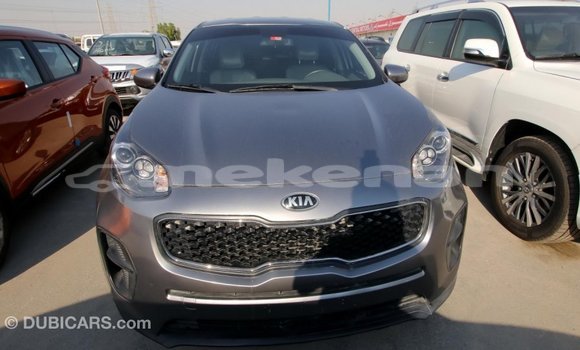 Buy Import Kia Sportage Other Car in Import - Dubai in Aragatsotn Buy Import Kia Sportage Other Car in Import - Dubai in Aragatsotn