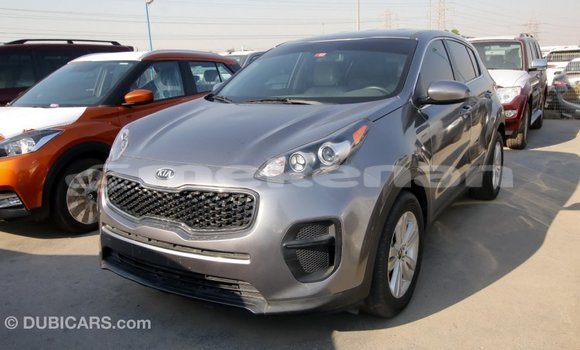 Buy Import Kia Sportage Other Car in Import - Dubai in Aragatsotn Buy Import Kia Sportage Other Car in Import - Dubai in Aragatsotn