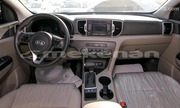 Buy Import Kia Sportage Other Car in Import - Dubai in Aragatsotn Buy Import Kia Sportage Other Car in Import - Dubai in Aragatsotn