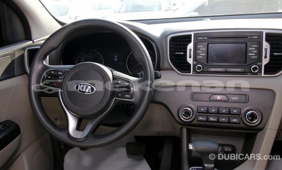 Buy Import Kia Sportage Other Car in Import - Dubai in Aragatsotn Buy Import Kia Sportage Other Car in Import - Dubai in Aragatsotn