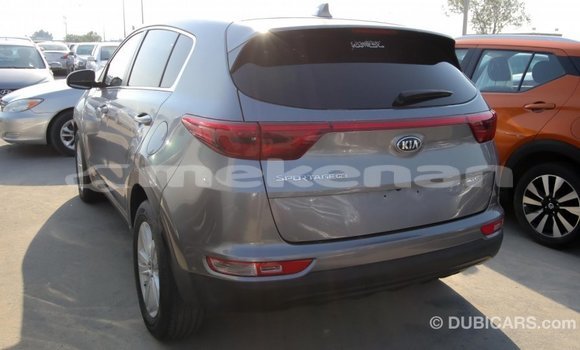 Buy Import Kia Sportage Other Car in Import - Dubai in Aragatsotn Buy Import Kia Sportage Other Car in Import - Dubai in Aragatsotn