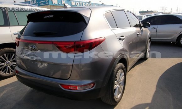 Buy Import Kia Sportage Other Car in Import - Dubai in Aragatsotn Buy Import Kia Sportage Other Car in Import - Dubai in Aragatsotn
