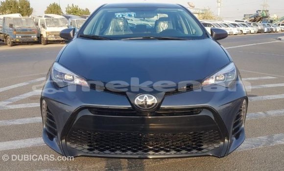 Buy Import Toyota Corolla Other Car in Import - Dubai in Aragatsotn Buy Import Toyota Corolla Other Car in Import - Dubai in Aragatsotn