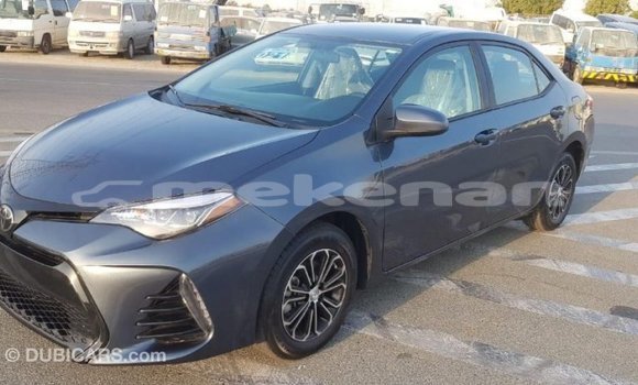 Buy Import Toyota Corolla Other Car in Import - Dubai in Aragatsotn Buy Import Toyota Corolla Other Car in Import - Dubai in Aragatsotn