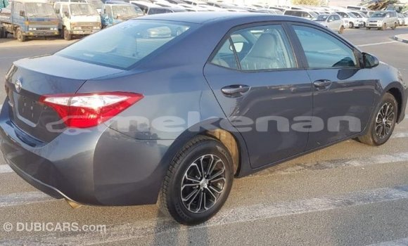 Buy Import Toyota Corolla Other Car in Import - Dubai in Aragatsotn Buy Import Toyota Corolla Other Car in Import - Dubai in Aragatsotn