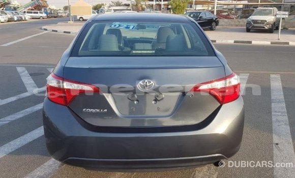 Buy Import Toyota Corolla Other Car in Import - Dubai in Aragatsotn Buy Import Toyota Corolla Other Car in Import - Dubai in Aragatsotn