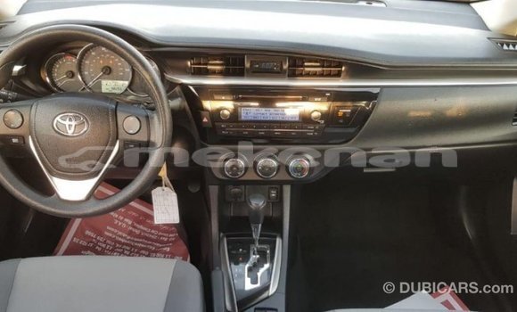 Buy Import Toyota Corolla Other Car in Import - Dubai in Aragatsotn Buy Import Toyota Corolla Other Car in Import - Dubai in Aragatsotn