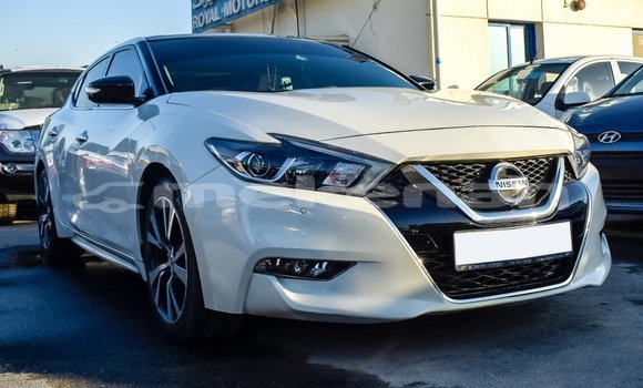 Buy Import Nissan Maxima White Car in Import - Dubai in Aragatsotn Buy Import Nissan Maxima White Car in Import - Dubai in Aragatsotn