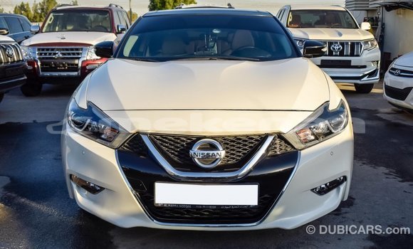 Buy Import Nissan Maxima White Car in Import - Dubai in Aragatsotn Buy Import Nissan Maxima White Car in Import - Dubai in Aragatsotn