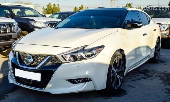 Buy Import Nissan Maxima White Car in Import - Dubai in Aragatsotn Buy Import Nissan Maxima White Car in Import - Dubai in Aragatsotn