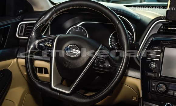 Buy Import Nissan Maxima White Car in Import - Dubai in Aragatsotn Buy Import Nissan Maxima White Car in Import - Dubai in Aragatsotn