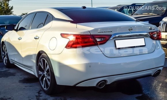 Buy Import Nissan Maxima White Car in Import - Dubai in Aragatsotn Buy Import Nissan Maxima White Car in Import - Dubai in Aragatsotn