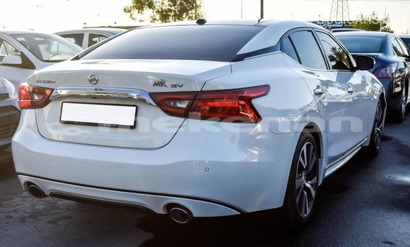 Buy Import Nissan Maxima White Car in Import - Dubai in Aragatsotn Buy Import Nissan Maxima White Car in Import - Dubai in Aragatsotn