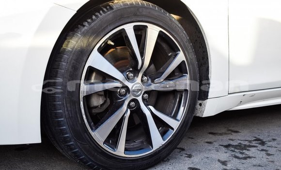 Buy Import Nissan Maxima White Car in Import - Dubai in Aragatsotn Buy Import Nissan Maxima White Car in Import - Dubai in Aragatsotn