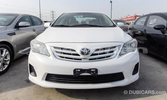 Buy Import Toyota Corolla White Car in Import - Dubai in Aragatsotn Buy Import Toyota Corolla White Car in Import - Dubai in Aragatsotn