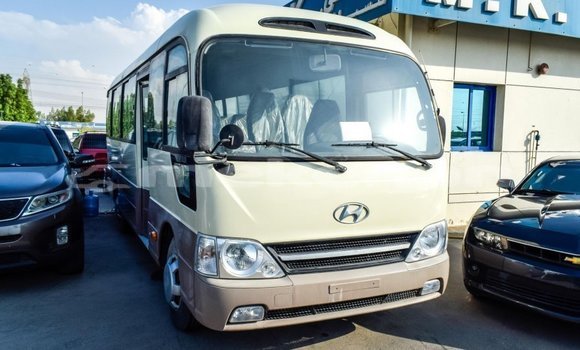 Buy Import Hyundai Chorus Beige Truck in Import - Dubai in Aragatsotn