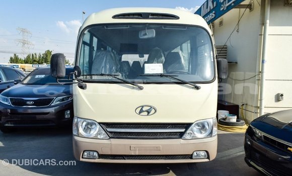 Buy Import Hyundai Chorus Beige Truck in Import - Dubai in Aragatsotn Buy Import Hyundai Chorus Beige Truck in Import - Dubai in Aragatsotn