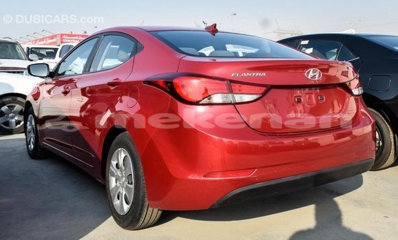 Buy Import Hyundai Elantra Red Car in Import - Dubai in Aragatsotn Buy Import Hyundai Elantra Red Car in Import - Dubai in Aragatsotn
