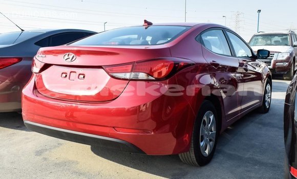 Buy Import Hyundai Elantra Red Car in Import - Dubai in Aragatsotn Buy Import Hyundai Elantra Red Car in Import - Dubai in Aragatsotn