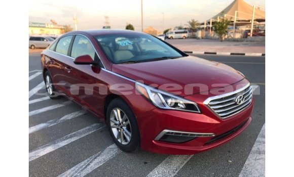 Buy Import Hyundai Sonata Red Car in Import - Dubai in Aragatsotn Buy Import Hyundai Sonata Red Car in Import - Dubai in Aragatsotn