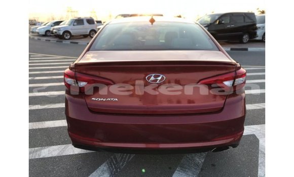 Buy Import Hyundai Sonata Red Car in Import - Dubai in Aragatsotn Buy Import Hyundai Sonata Red Car in Import - Dubai in Aragatsotn