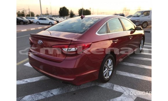 Buy Import Hyundai Sonata Red Car in Import - Dubai in Aragatsotn Buy Import Hyundai Sonata Red Car in Import - Dubai in Aragatsotn
