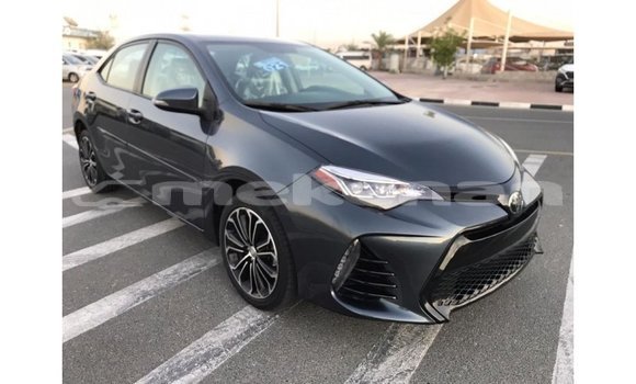 Buy Import Toyota Corolla Other Car in Import - Dubai in Aragatsotn Buy Import Toyota Corolla Other Car in Import - Dubai in Aragatsotn