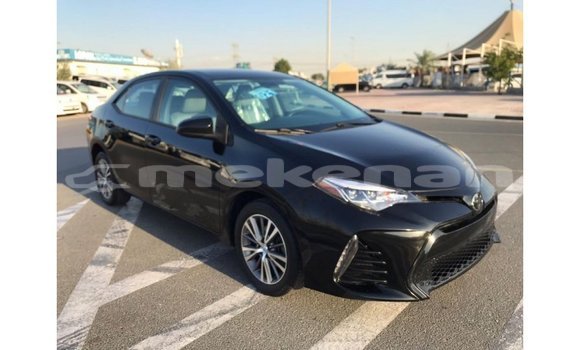Buy Import Toyota Corolla Black Car in Import - Dubai in Aragatsotn Buy Import Toyota Corolla Black Car in Import - Dubai in Aragatsotn