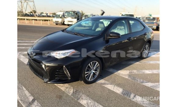 Buy Import Toyota Corolla Black Car in Import - Dubai in Aragatsotn Buy Import Toyota Corolla Black Car in Import - Dubai in Aragatsotn