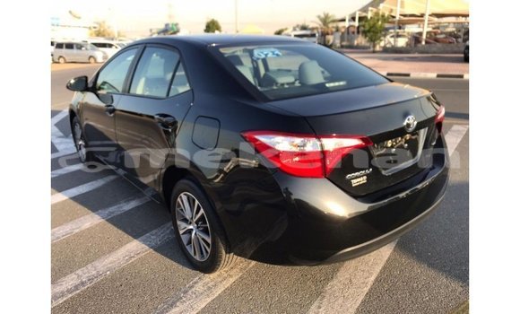 Buy Import Toyota Corolla Black Car in Import - Dubai in Aragatsotn Buy Import Toyota Corolla Black Car in Import - Dubai in Aragatsotn
