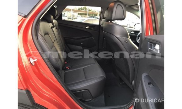 Buy Import Hyundai Tucson Red Car in Import - Dubai in Aragatsotn Buy Import Hyundai Tucson Red Car in Import - Dubai in Aragatsotn