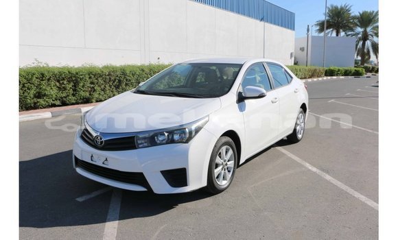 Buy Import Toyota Corolla White Car in Import - Dubai in Aragatsotn Buy Import Toyota Corolla White Car in Import - Dubai in Aragatsotn