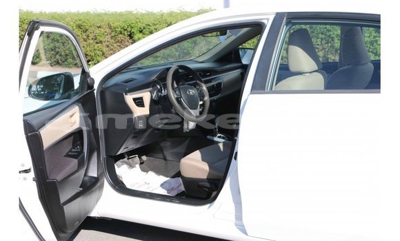 Buy Import Toyota Corolla White Car in Import - Dubai in Aragatsotn Buy Import Toyota Corolla White Car in Import - Dubai in Aragatsotn