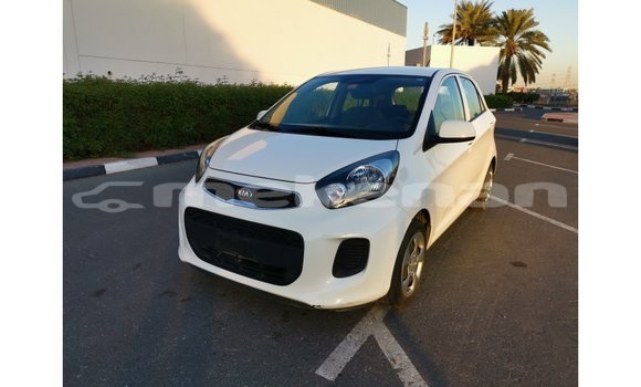 Buy Import Kia Picanto White Car in Import - Dubai in Aragatsotn Buy Import Kia Picanto White Car in Import - Dubai in Aragatsotn