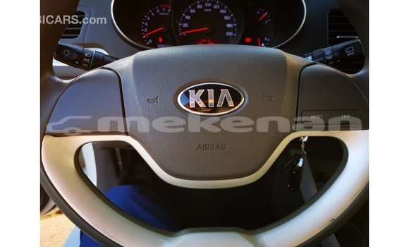 Buy Import Kia Picanto White Car in Import - Dubai in Aragatsotn Buy Import Kia Picanto White Car in Import - Dubai in Aragatsotn