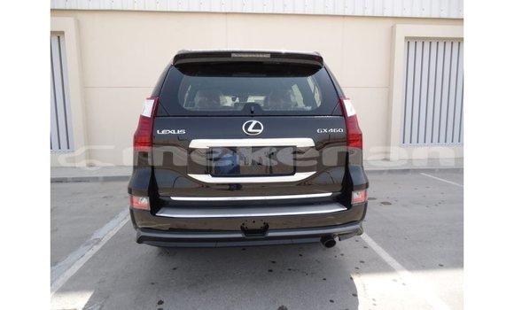 Buy Import Lexus GX Black Car in Import - Dubai in Aragatsotn Buy Import Lexus GX Black Car in Import - Dubai in Aragatsotn